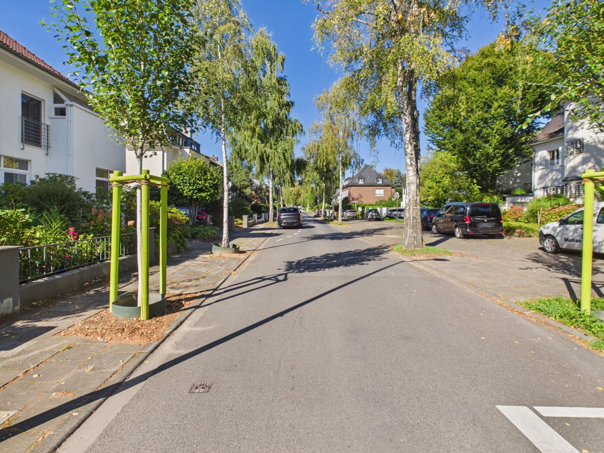 Baumbestandene Wohnstraße in Köln-Junkersdorf